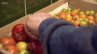 Tomatoes