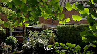 May May