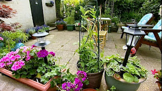 Reg's pots Reg's pots