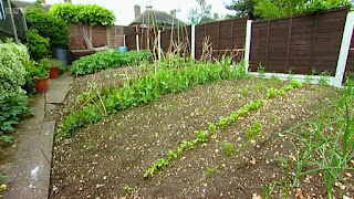 vegetable garden vegetable garden