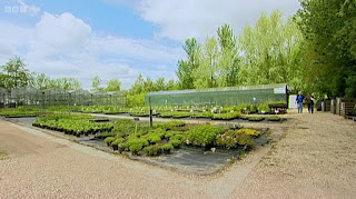 Nursery Nursery