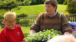 planting up planting up