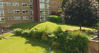 Hedge Hedge