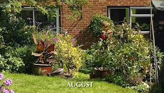 August August