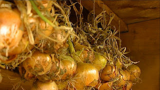 Onions Onions