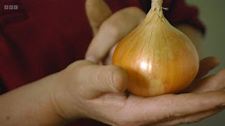 onion onion