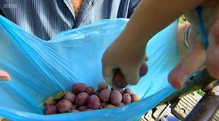 Plums Plums