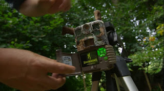cameras