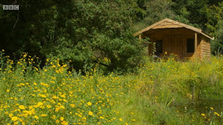 cabin cabin
