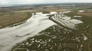 Salt Marshes