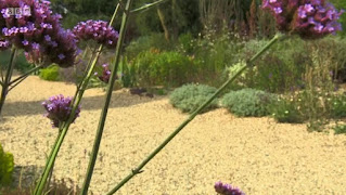 Gravel Garden