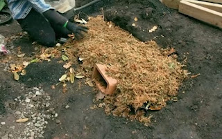 Hibernaculum Hibernaculum