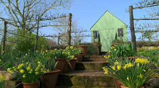 The garden The garden
