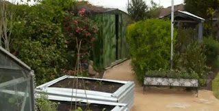 Finished garden Finished garden