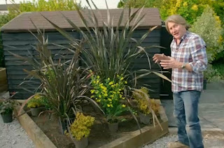 David planting David planting