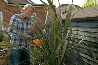 David planting Phormiums David planting Phormiums
