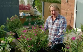 David planting David planting