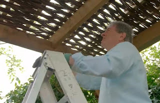 Alan pergola Alan pergola