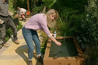 Katie water feature Katie water feature
