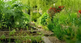 Alan Garden visit