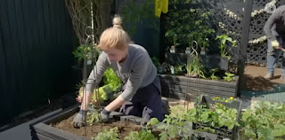 Katie veg planting
