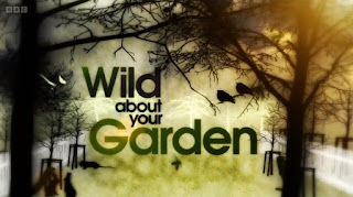 Wild About Your Garden Wild About Your Garden