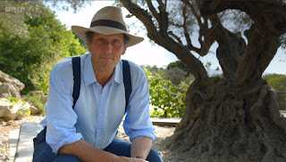 Monty and Olive Trees Monty and Olive Trees