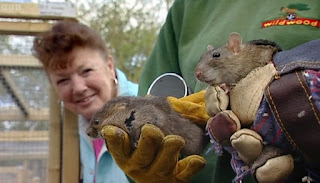 Betty and rats Betty and rats