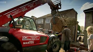 Moving big tree Moving big tree