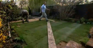Laying lawn Laying lawn