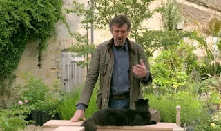 Adam Ash and the Window box