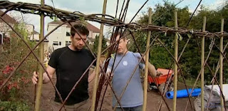 Willow fence