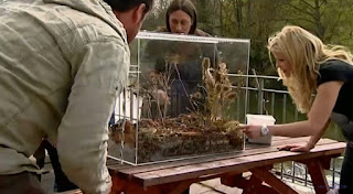 Harvest mice