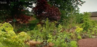 A woodland wonderland A woodland wonderland