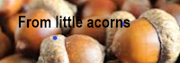 From little acorns From little acorns